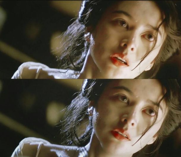 牡丹在线免费观看 排行5