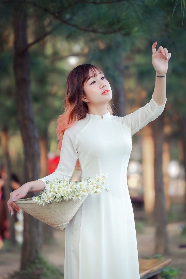 牡丹在线免费观看 更新7
